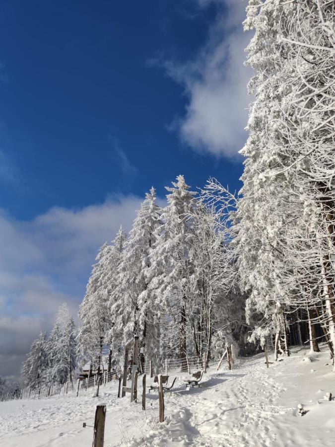 Ferienwohnung Landsmann Winterberg Zewnętrze zdjęcie